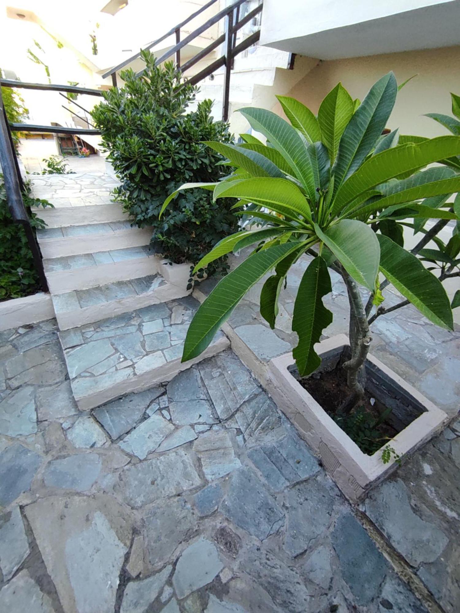 Dedalos N3 Sea View Apartment-30 Metres From The Beach Stalida Esterno foto