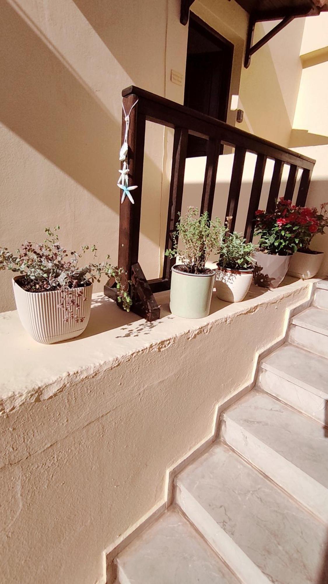 Dedalos N3 Sea View Apartment-30 Metres From The Beach Stalida Esterno foto